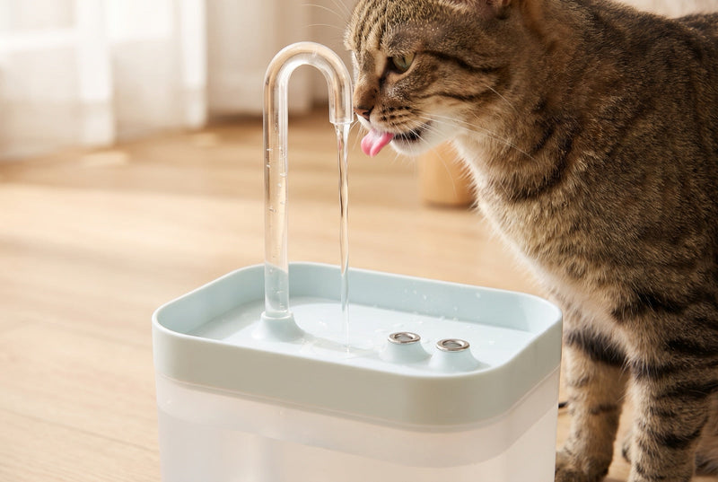 Gato atigrado bebiendo del chorro de la fuente Mielo Flow