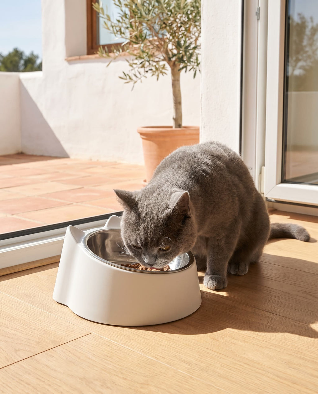 Gato comiendo del comedero inclinado Mielo