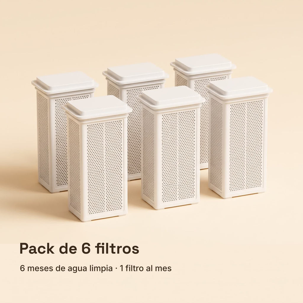 Pack de 6 filtros de recambio Mielo